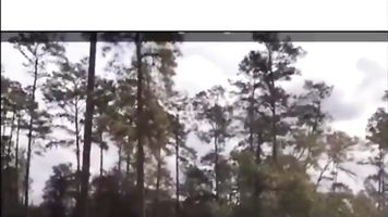 Los Amantes del Trasero No Se Resistirán A Este Comportamiento Trasero Enorme